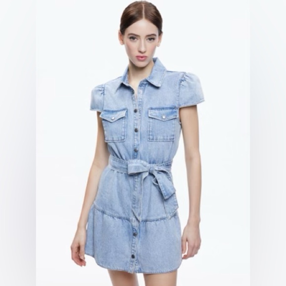 Alice + Olivia dress